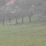 Baranie Wzgórze Ustroń Basen Sauna Plac Zabaw * Cisownica