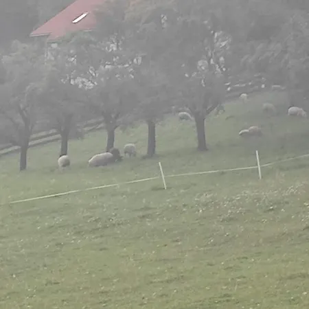 Baranie Wzgorze Ustron Basen Sauna Plac Zabaw * Cisownica