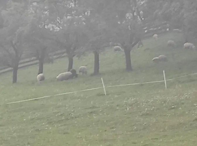 Baranie Wzgorze Ustron Basen Sauna Plac Zabaw * Cisownica