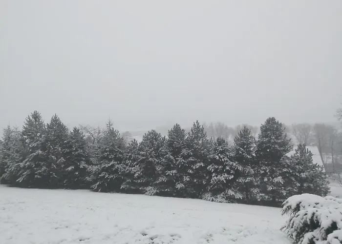 Baranie Wzgorze Ustron Basen Sauna Plac Zabaw Hébergement de vacances Cisownica