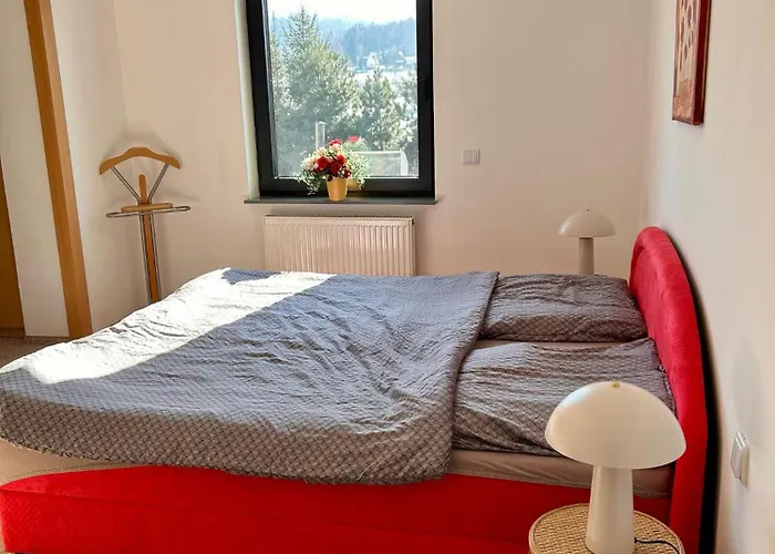 Hébergement de vacances Baranie Wzgorze Ustron Basen Sauna Plac Zabaw *