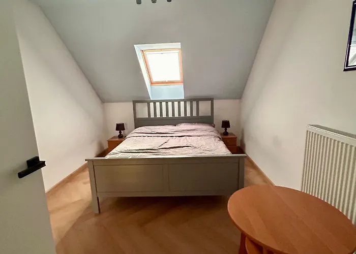 Baranie Wzgorze Ustron Basen Sauna Plac Zabaw *